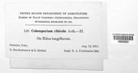 Image Associated With the Occurence